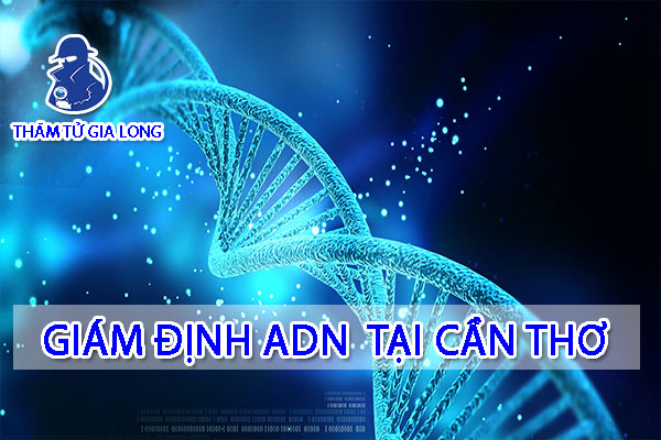 GIÁM ĐỊNH ADN TẠI CẦN THƠ